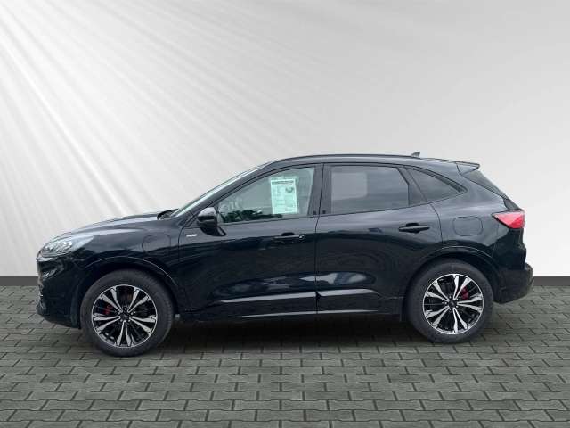 Fahrzeugbild eines Ford Kuga