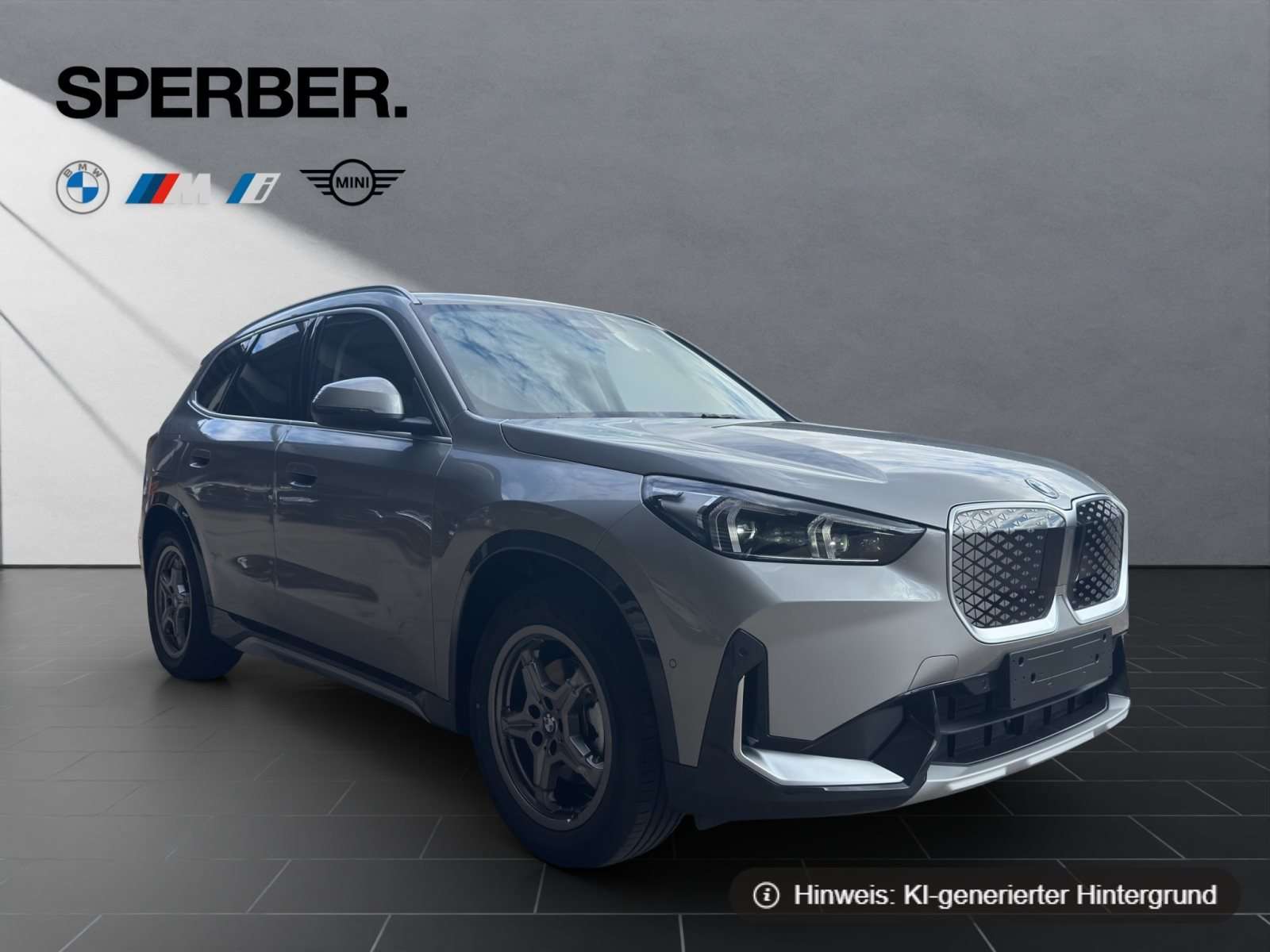 Fahrzeugbild eines BMW iX1