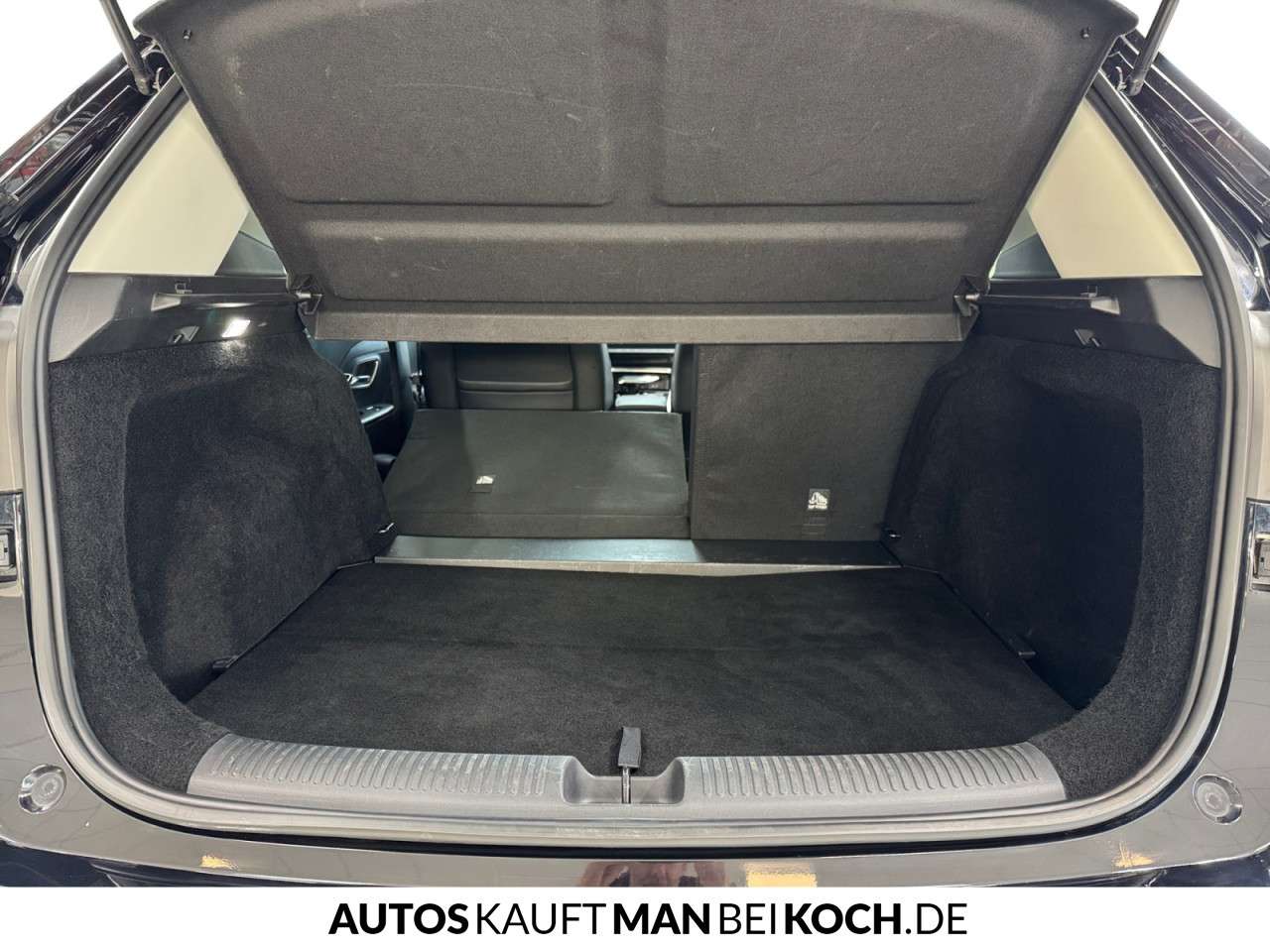 Fahrzeugbild eines MG ZS