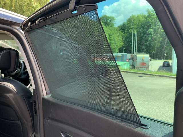 Fahrzeugbild eines Renault Grand Scénic