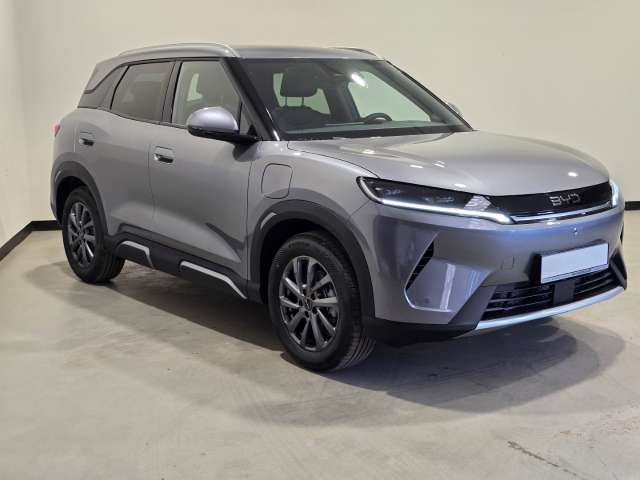 Fahrzeugbild eines BYD Atto 2