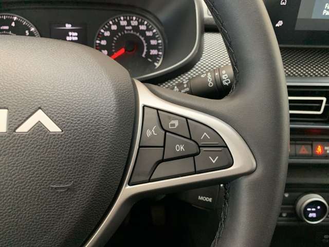 Fahrzeugbild eines Dacia Sandero