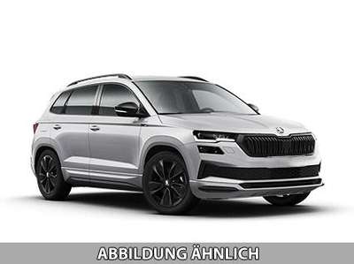 Bild Skoda Karoq