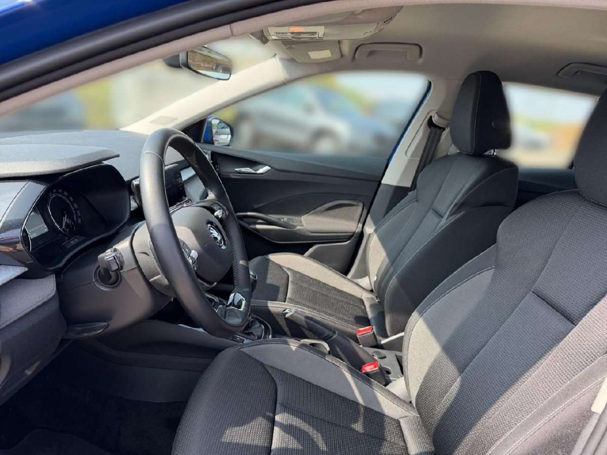 Fahrzeugbild eines Skoda Fabia