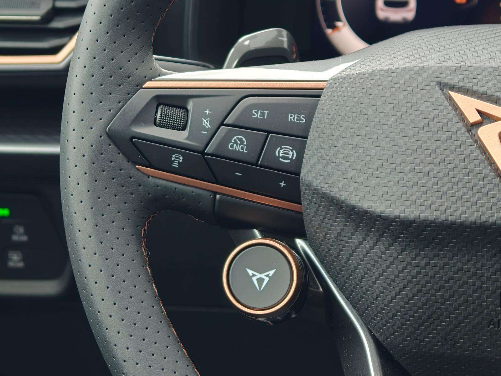 Fahrzeugbild eines CUPRA Leon