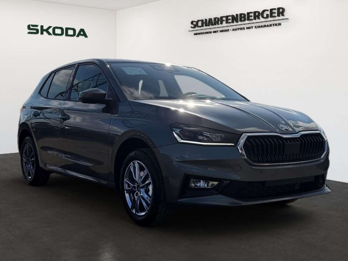 Fahrzeugbild eines Skoda Fabia