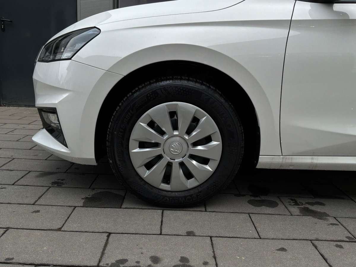 Fahrzeugbild eines Skoda Fabia