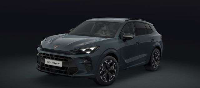 Fahrzeugbild eines CUPRA Terramar