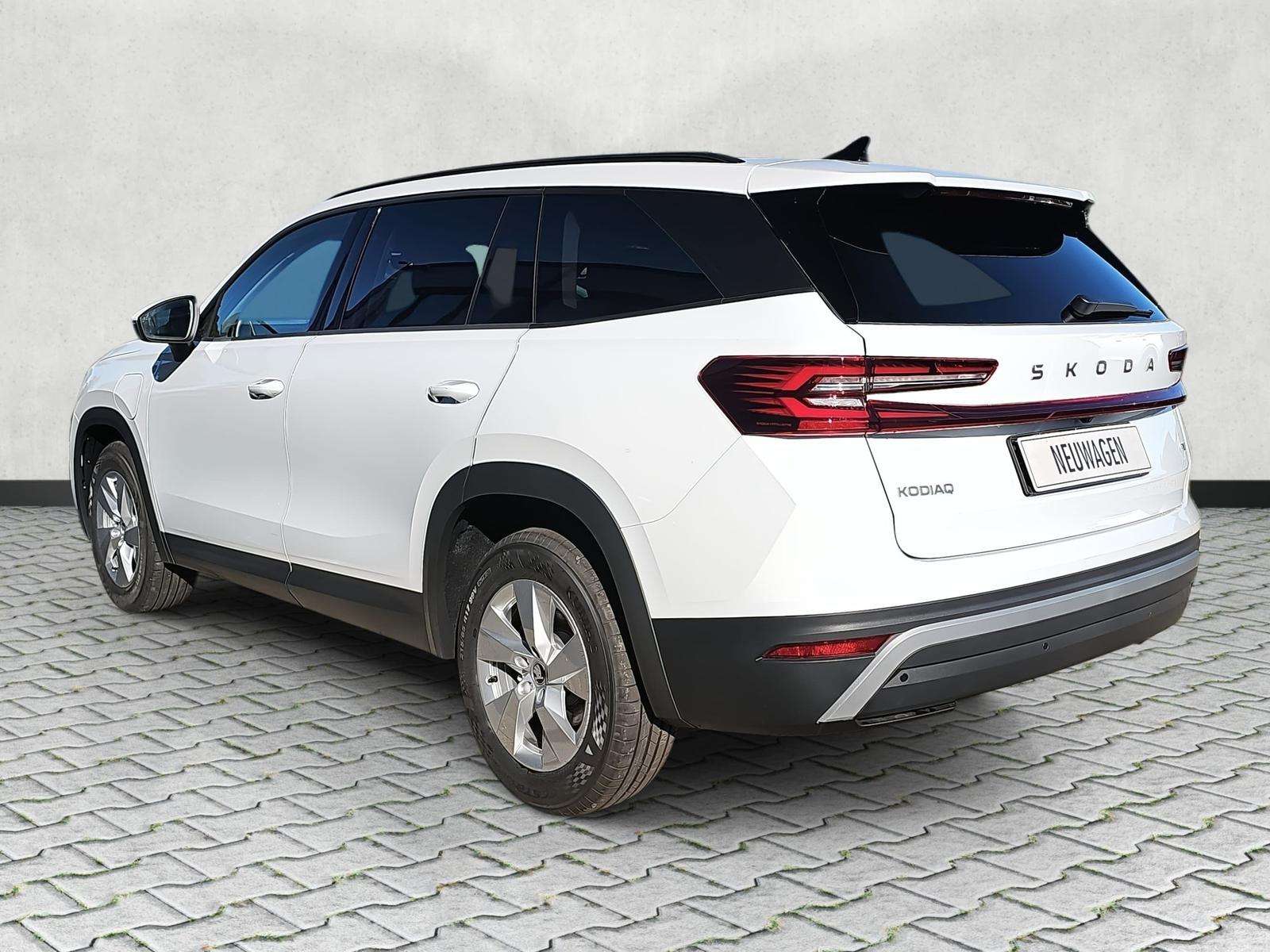 Fahrzeugbild eines Skoda Kodiaq