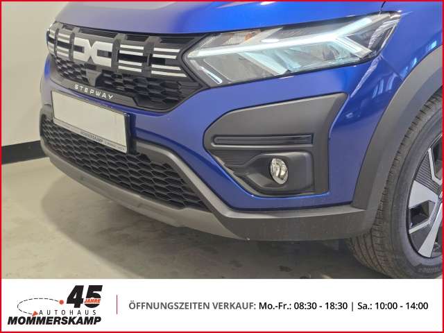 Fahrzeugbild eines Dacia Sandero