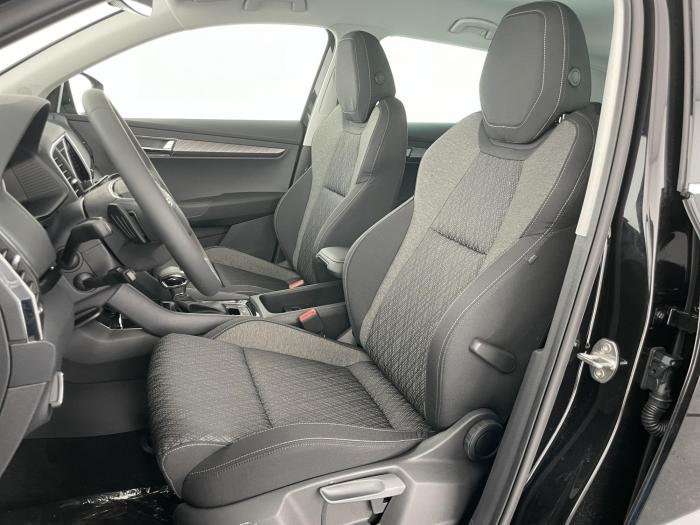 Fahrzeugbild eines Skoda Karoq