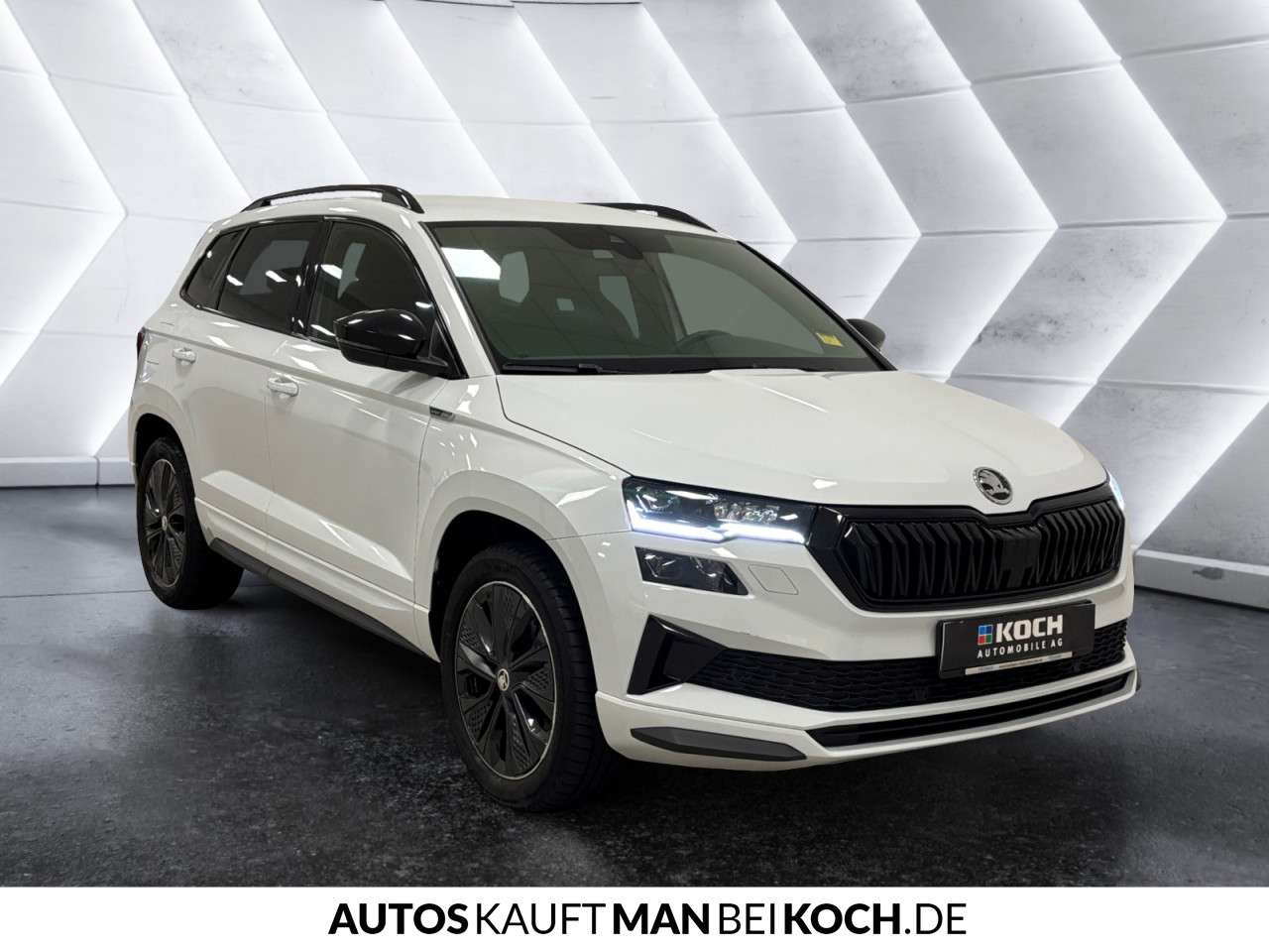 Fahrzeugbild eines Skoda Karoq