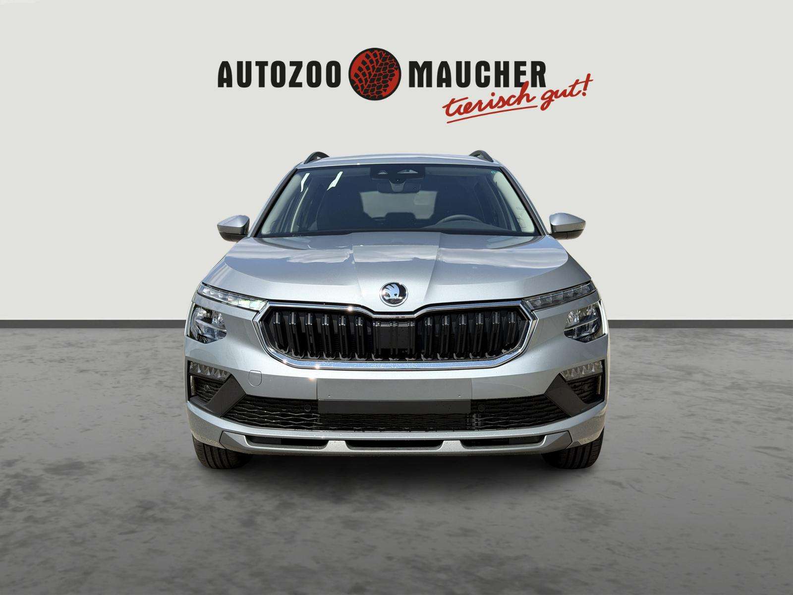 Fahrzeugbild eines Skoda Kamiq