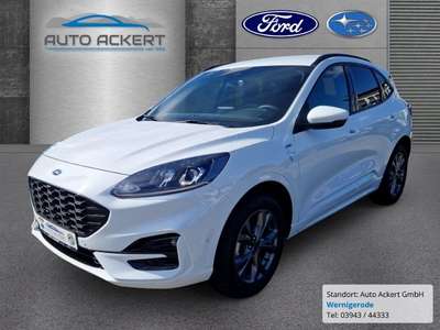Bild Ford Kuga