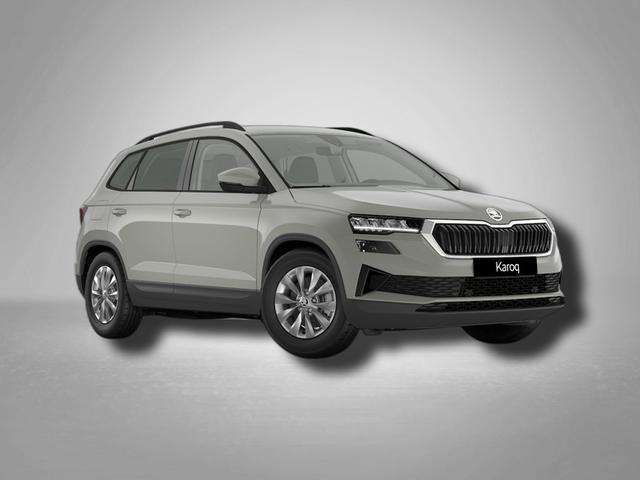 Fahrzeugbild eines Skoda Karoq