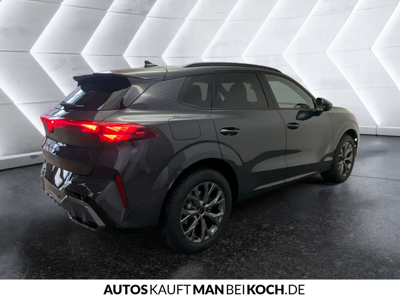 Fahrzeugbild eines CUPRA Terramar