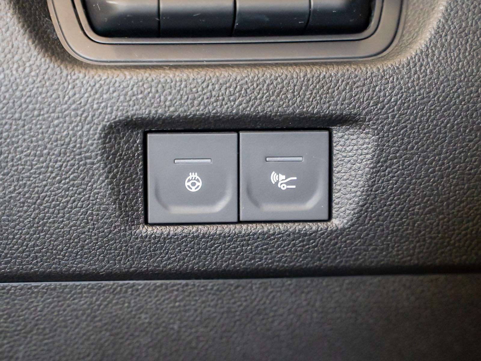 Fahrzeugbild eines Renault ZOE