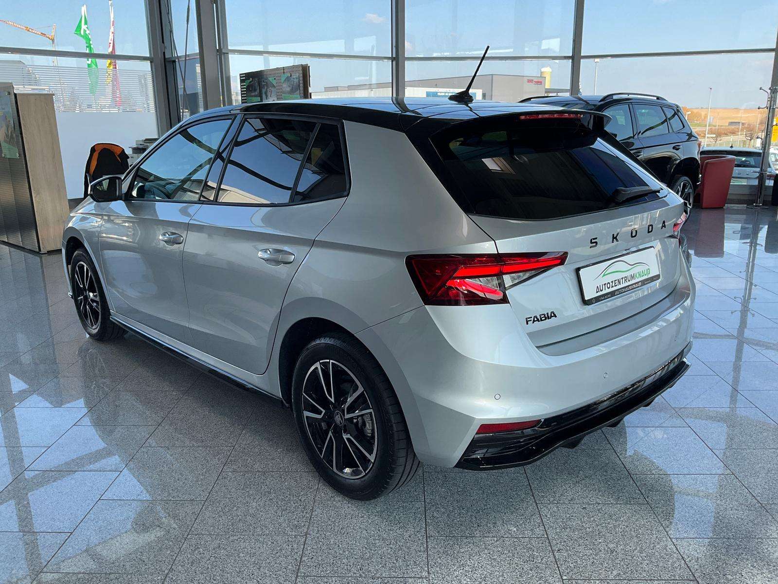 Fahrzeugbild eines Skoda Fabia