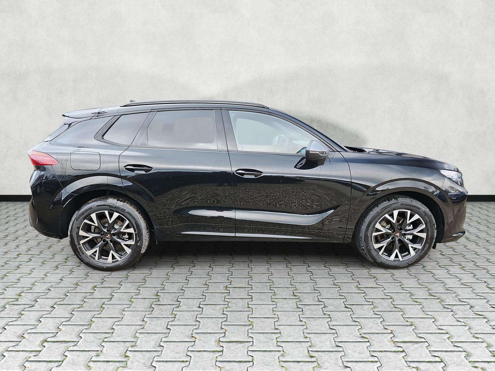 Fahrzeugbild eines CUPRA Terramar