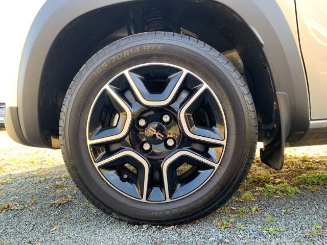 Fahrzeugbild eines Dacia Spring