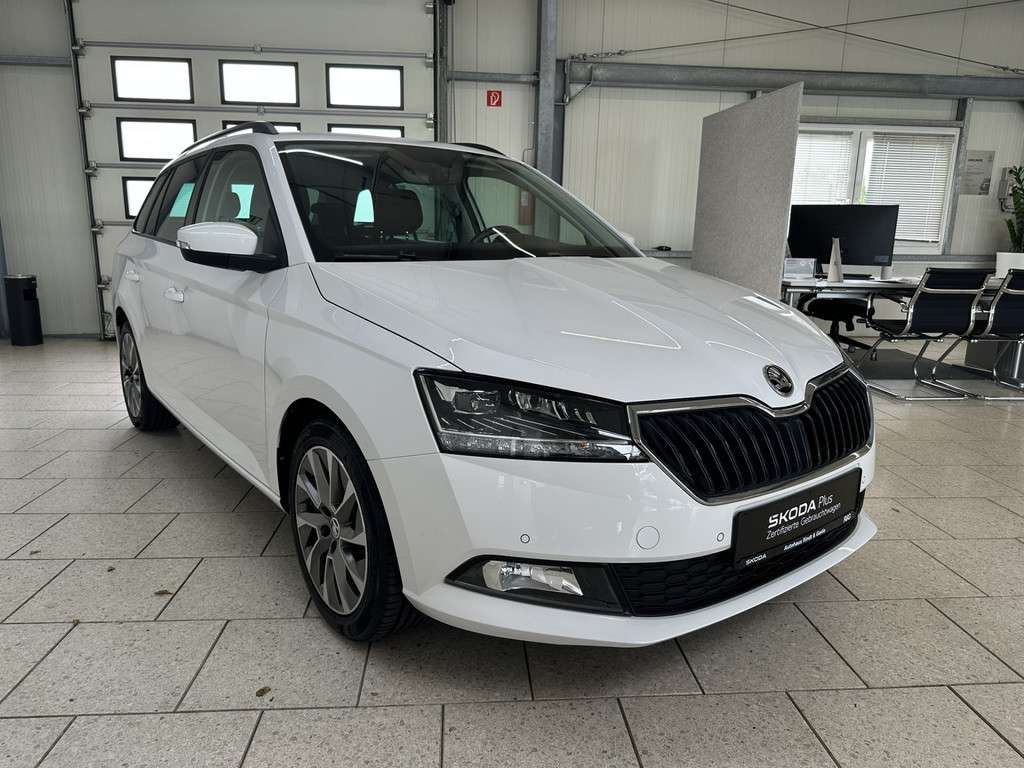 Fahrzeugbild eines Skoda Fabia