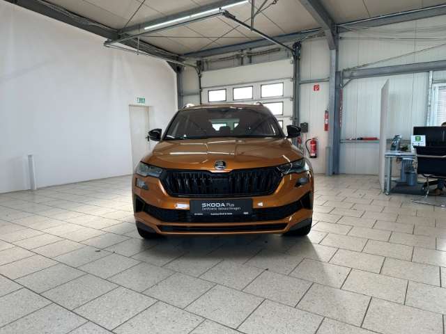 Fahrzeugbild eines Skoda Karoq
