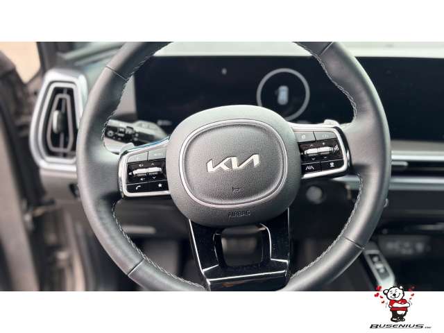 Fahrzeugbild eines Kia Sorento