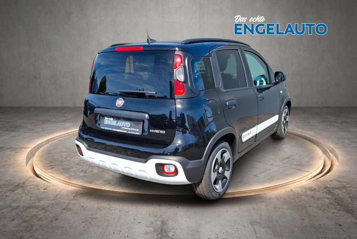 Fahrzeugbild eines Fiat Panda