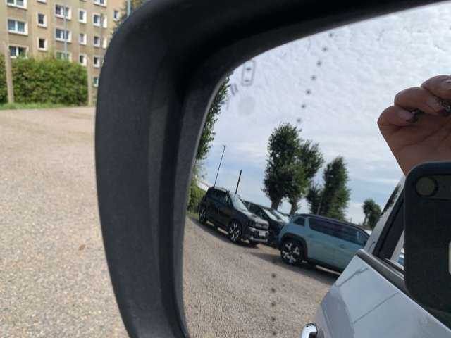 Fahrzeugbild eines Renault Grand Scénic
