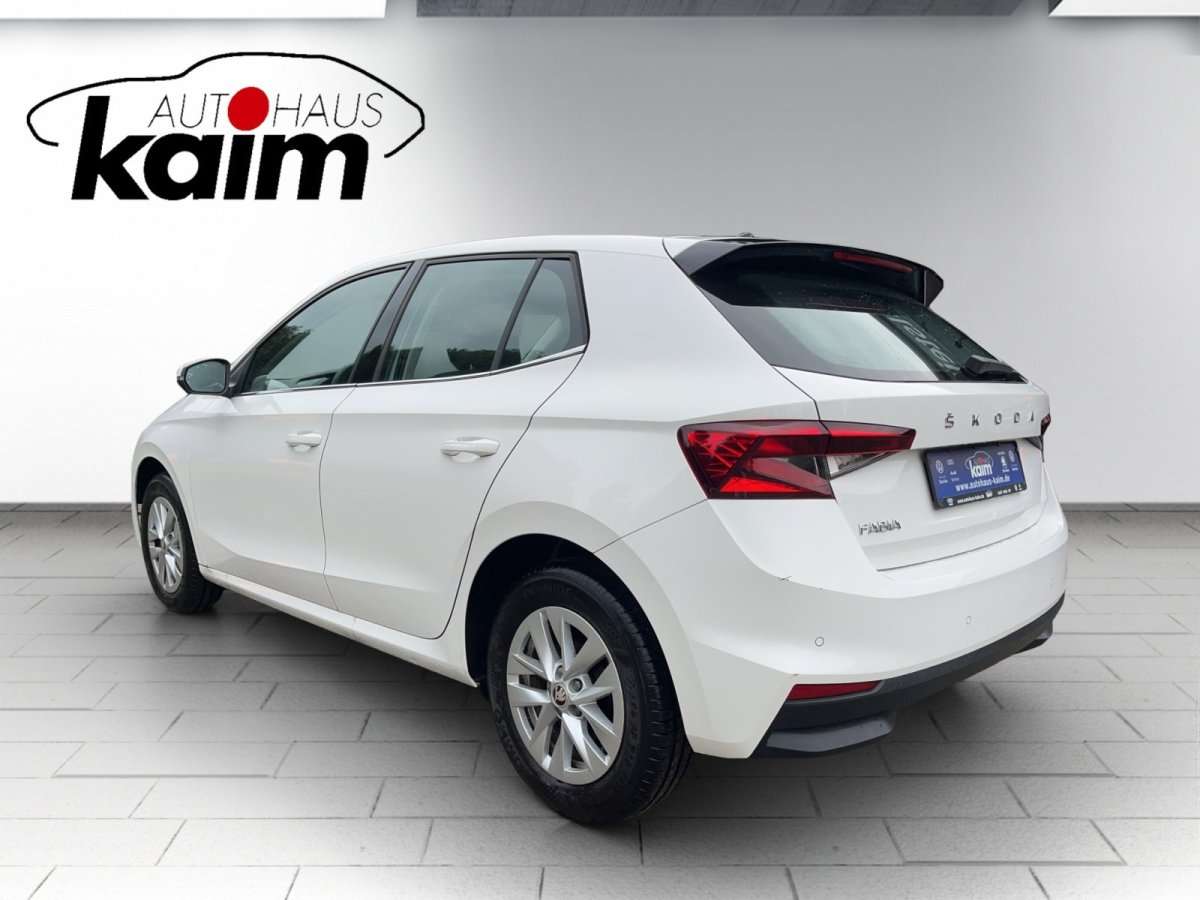 Fahrzeugbild eines Skoda Fabia