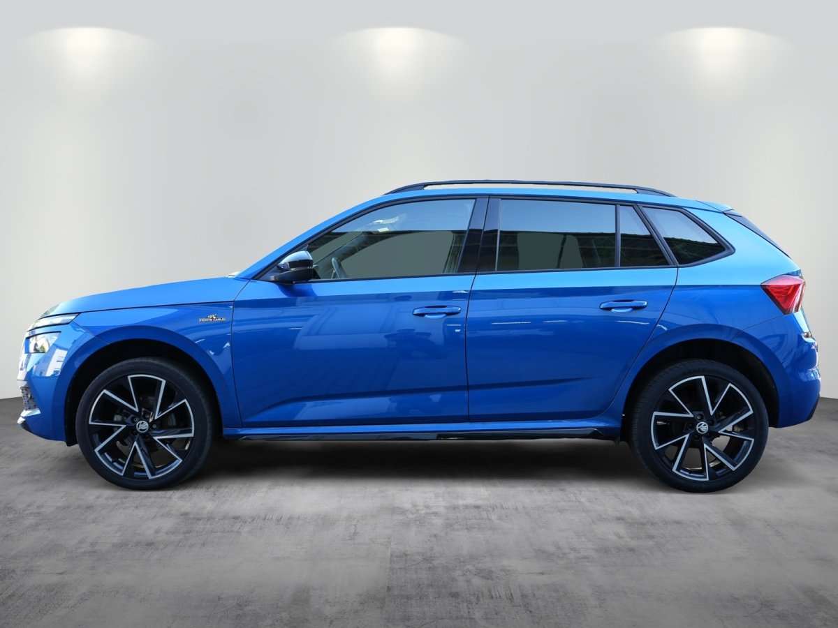 Fahrzeugbild eines Skoda Kamiq