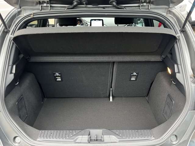 Fahrzeugbild eines Ford Fiesta