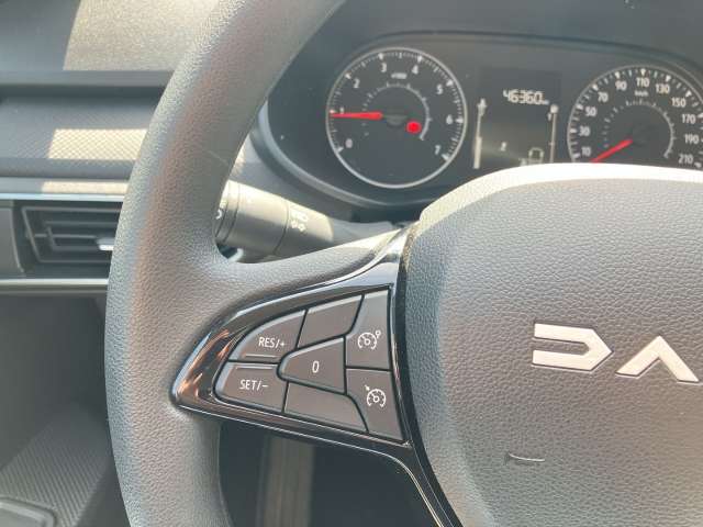 Fahrzeugbild eines Dacia Sandero