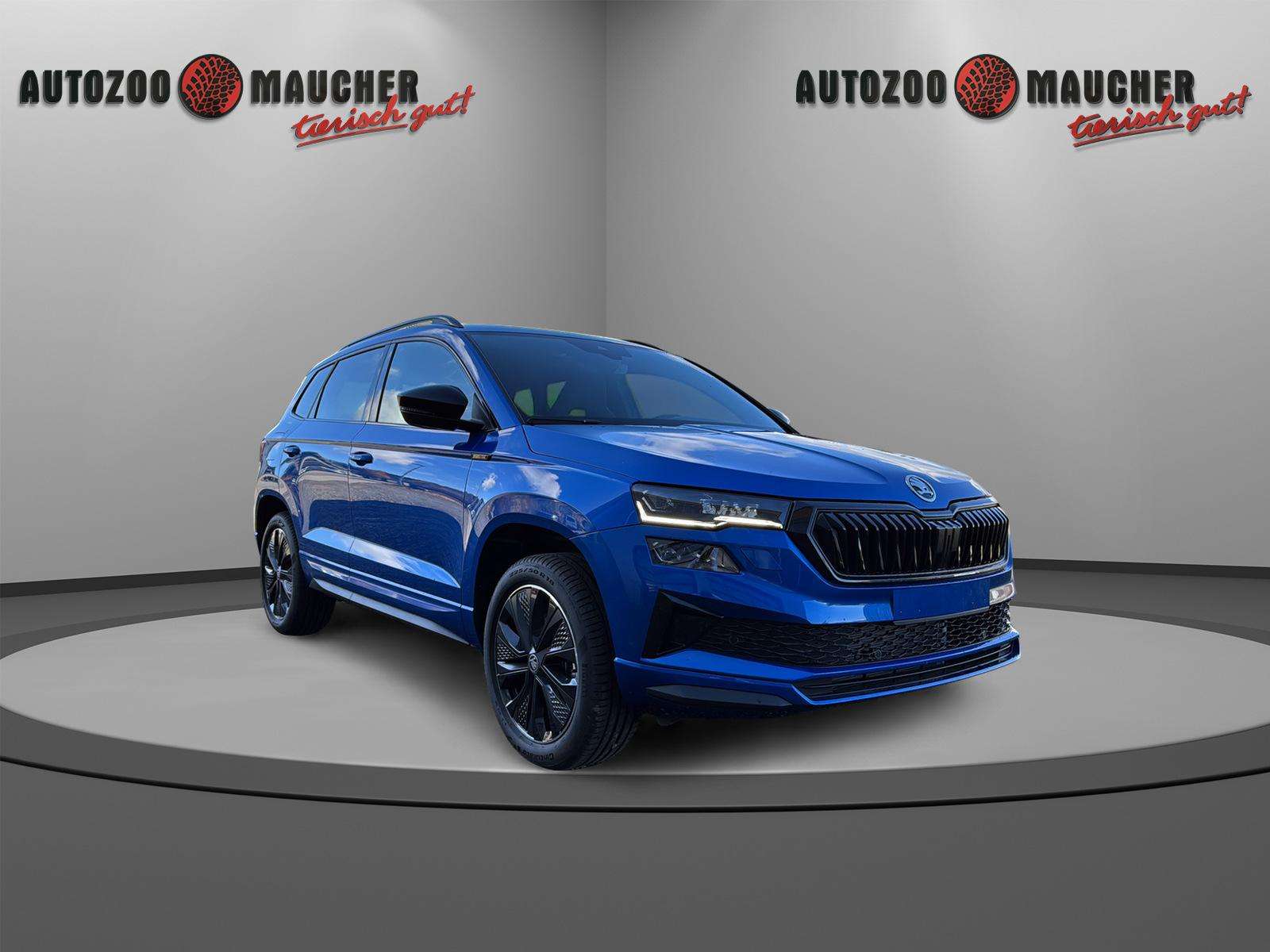 Fahrzeugbild eines Skoda Karoq