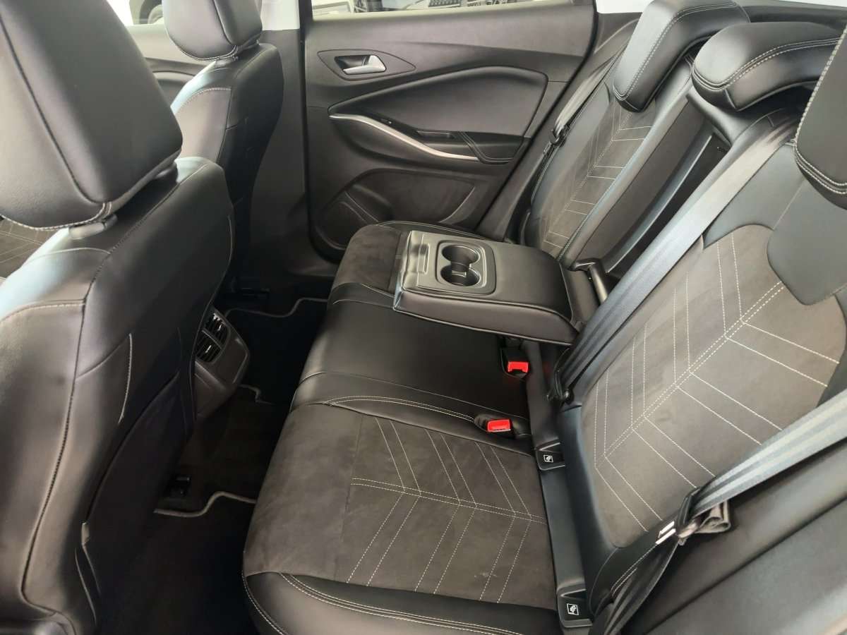 Fahrzeugbild eines Opel Grandland X