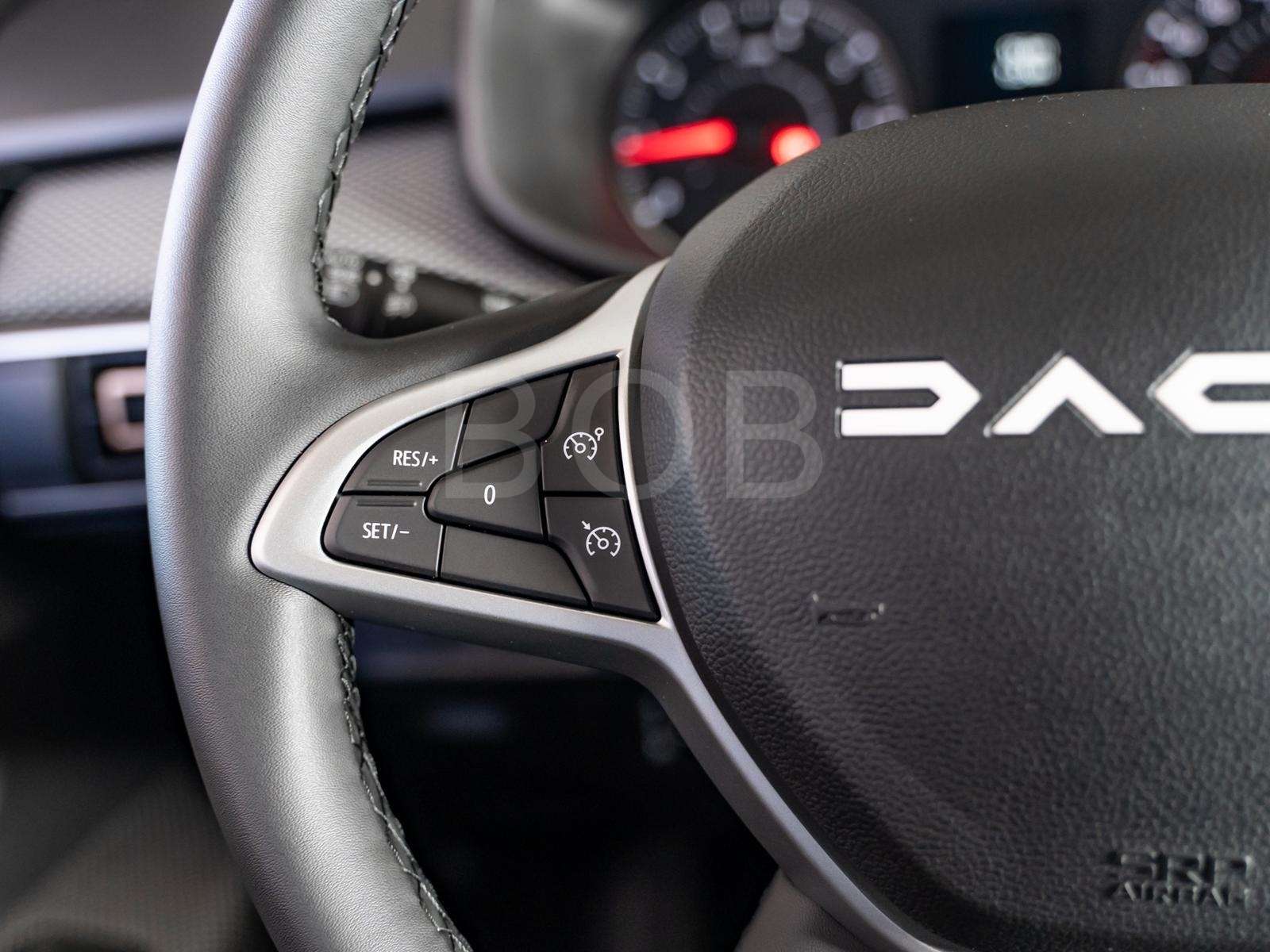 Fahrzeugbild eines Dacia Sandero