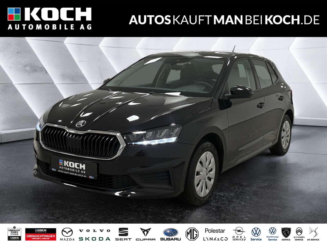 Fahrzeugbild eines Skoda Fabia