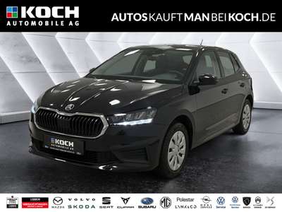 Bild Skoda Fabia