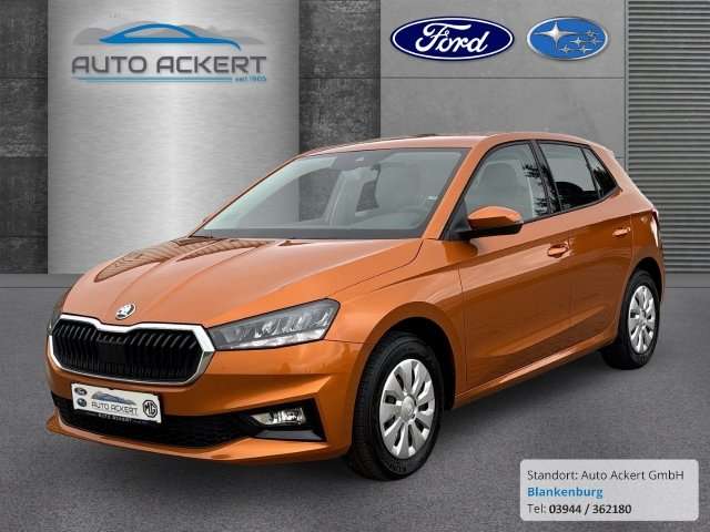 Fahrzeugbild eines Skoda Fabia