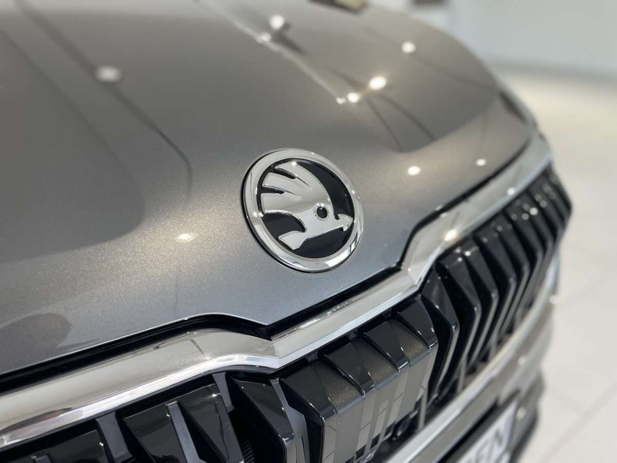 Fahrzeugbild eines Skoda Karoq