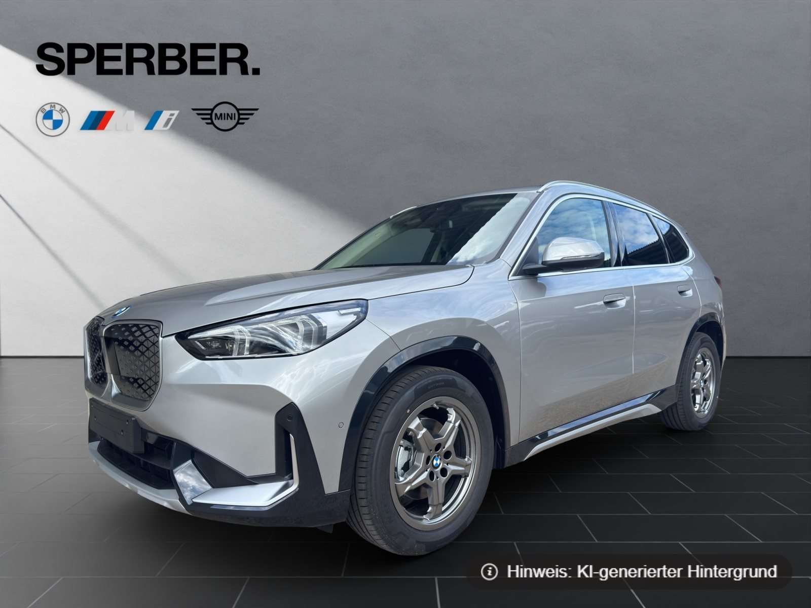 Fahrzeugbild eines BMW iX1
