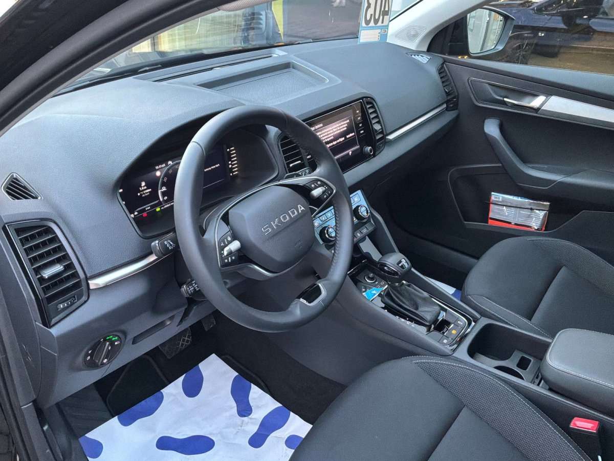 Fahrzeugbild eines Skoda Karoq