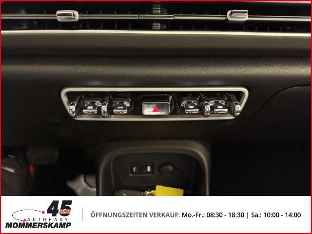 Fahrzeugbild eines GWM Ora 03