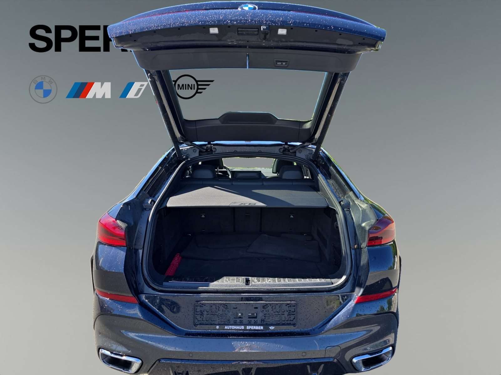 Fahrzeugbild eines BMW X6