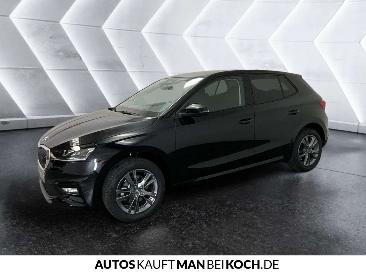 Fahrzeugbild eines Skoda Fabia