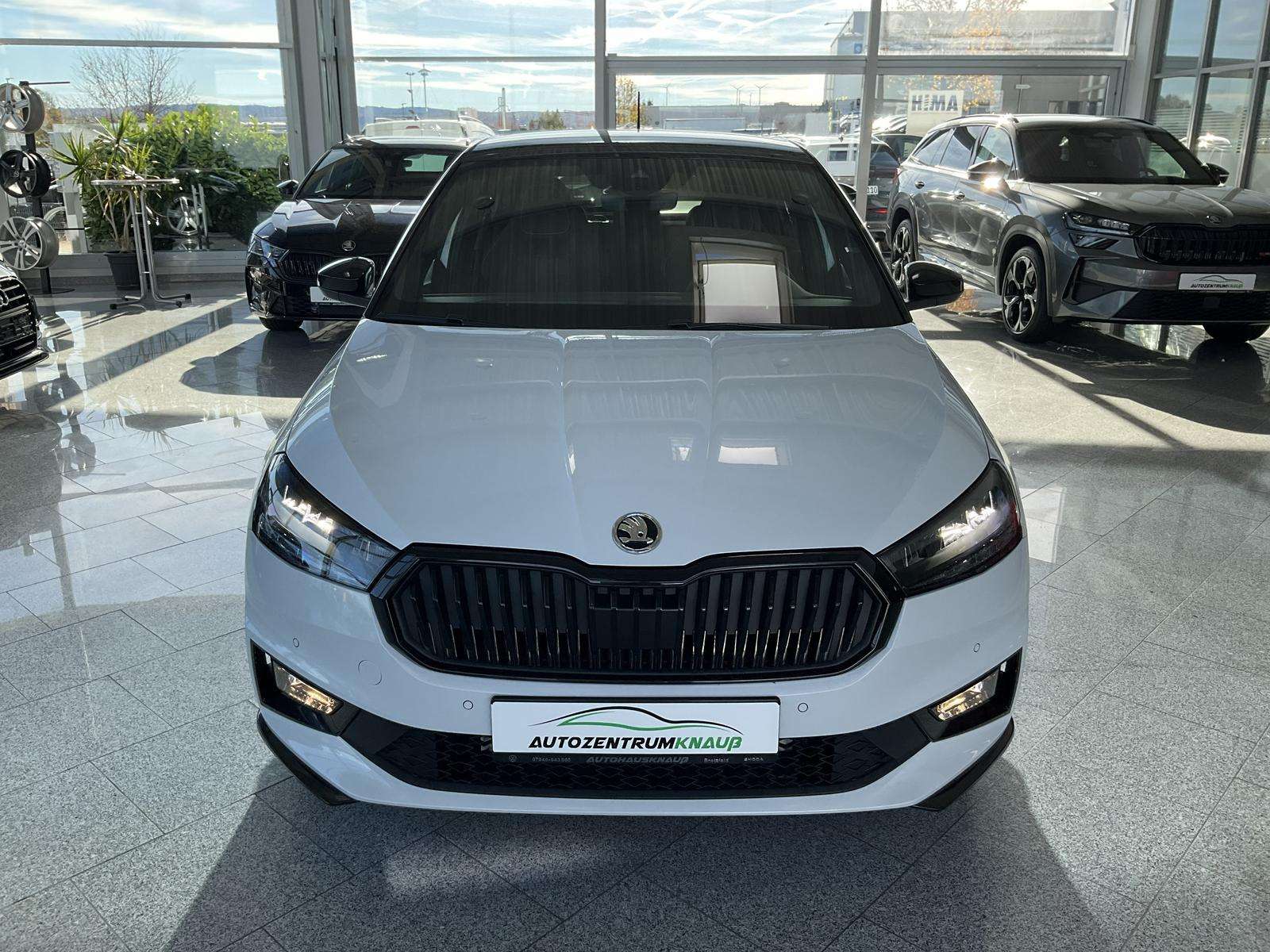 Fahrzeugbild eines Skoda Fabia