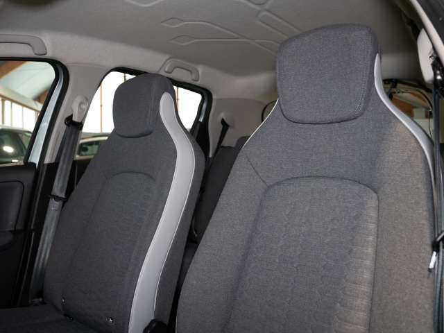 Fahrzeugbild eines Renault ZOE