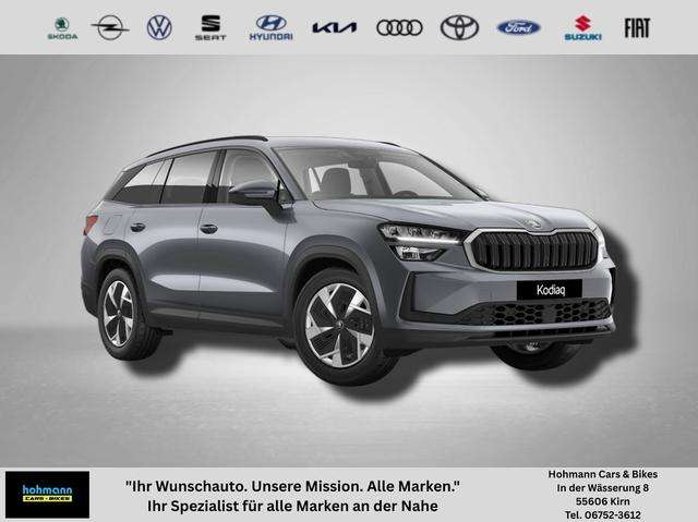 Fahrzeugbild eines Skoda Kodiaq