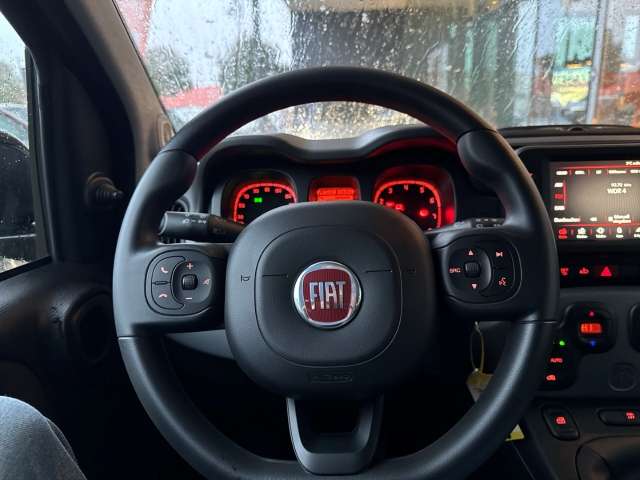 Fahrzeugbild eines Fiat Panda
