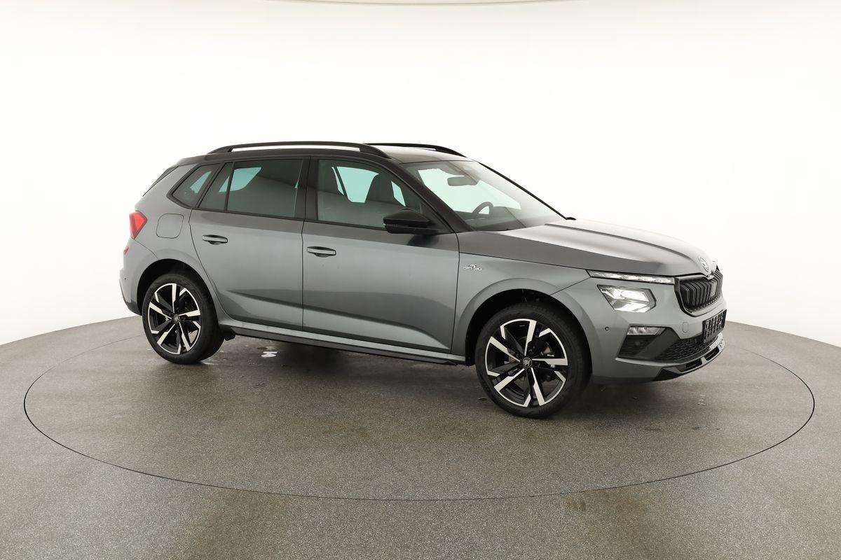 Fahrzeugbild eines Skoda Kamiq
